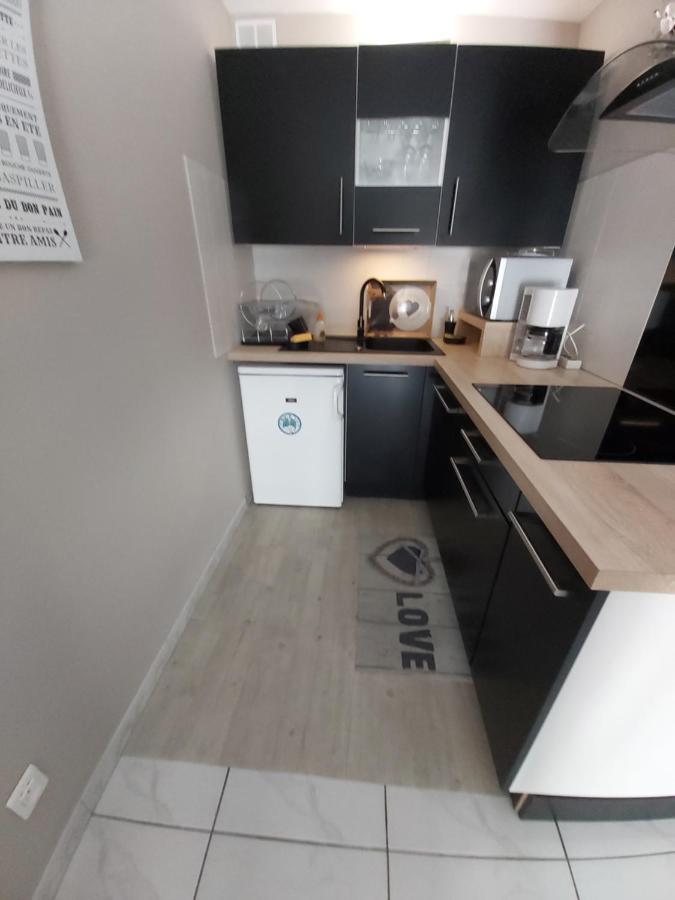 :) Grand Studio Lumineux A Toulouse Et Parking Zewnętrze zdjęcie