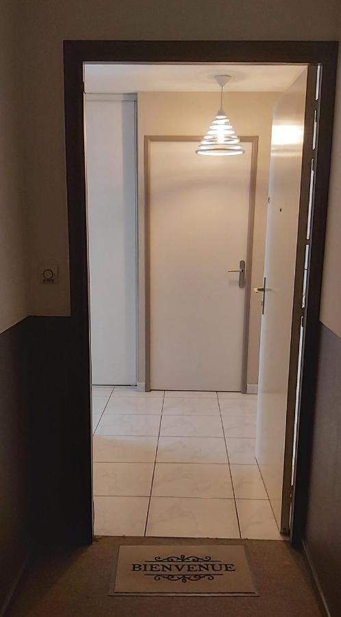 :) Grand Studio Lumineux A Toulouse Et Parking Zewnętrze zdjęcie
