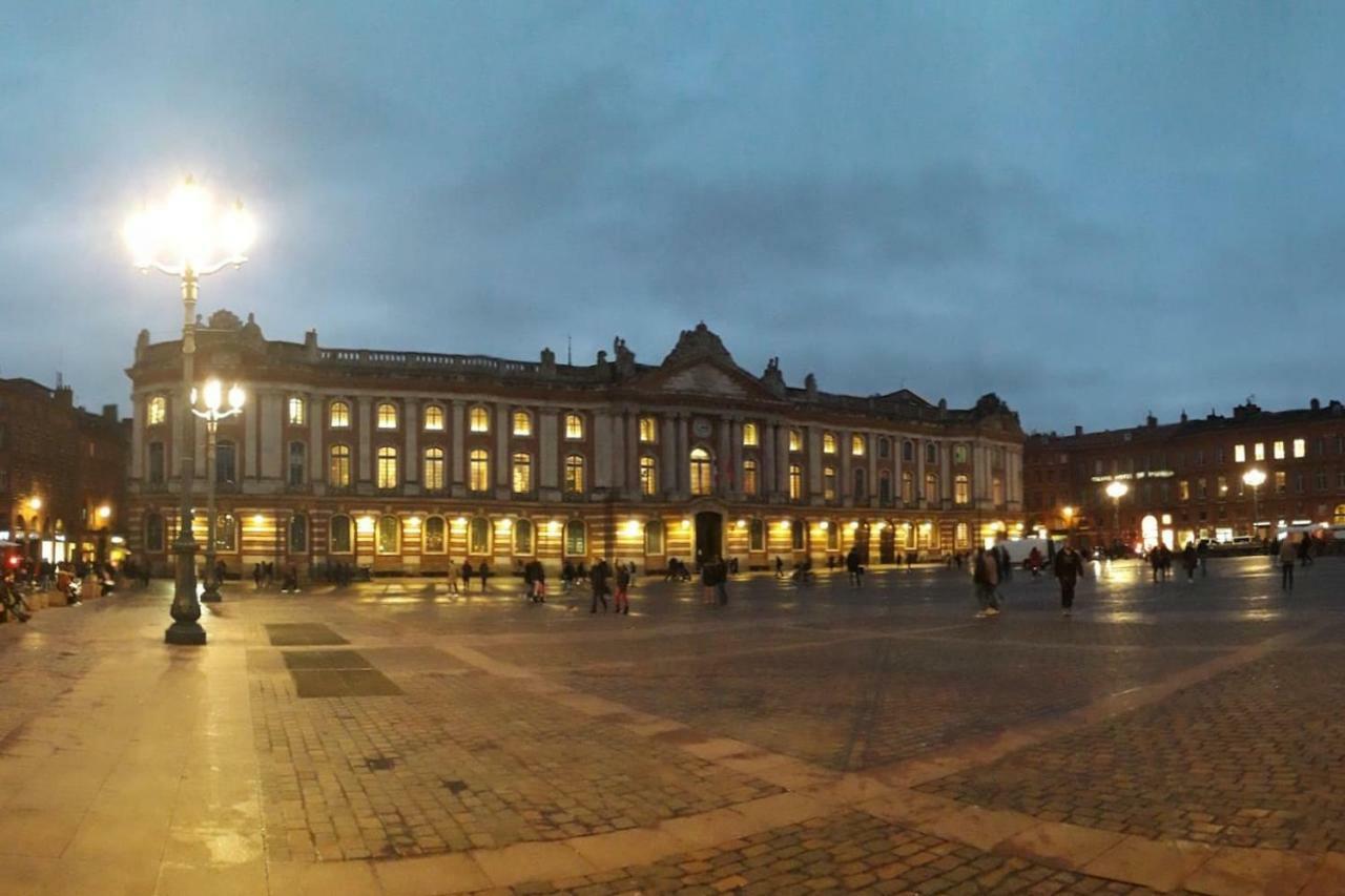 :) Grand Studio Lumineux A Toulouse Et Parking Zewnętrze zdjęcie