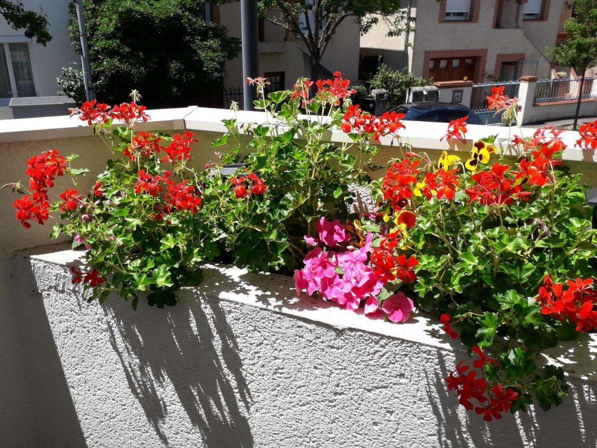 :) Grand Studio Lumineux A Toulouse Et Parking Zewnętrze zdjęcie